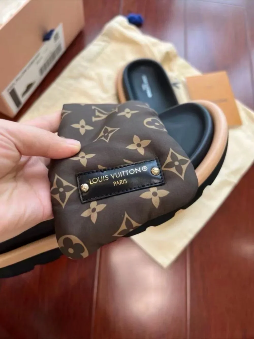 Louis Vuitton Pool Pillow Comfort Monogram Slide Sandals